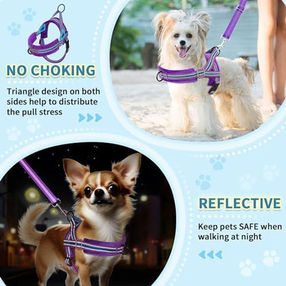 SlowTon No Pull Small Dog Harness and Leash Set - Image 3