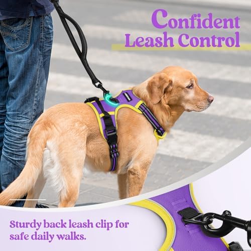 rabbitgoo Dog Harness, No Pull Medium Sized - Image 6