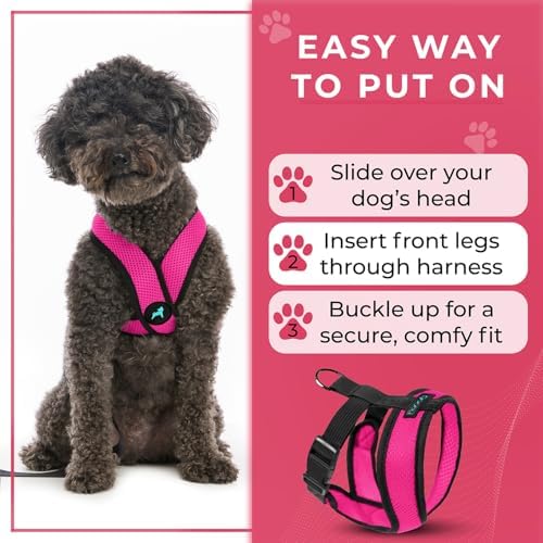 Gooby Comfort X Head-in Dog Harness, Choke-Free, Flamingo Pink - Image 6