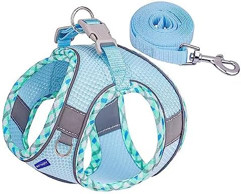 Step in Mesh Dog Harness and Leash Set Breathable Air Mesh Harness - Image 2
