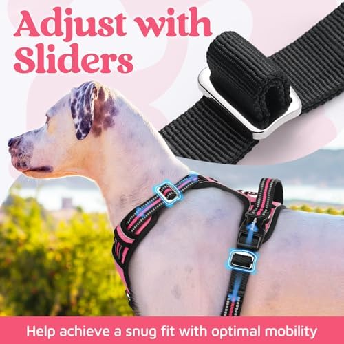 rabbitgoo Dog Harness Medium Sized, No Pull 3 Buckles Easy On & Off - Image 5
