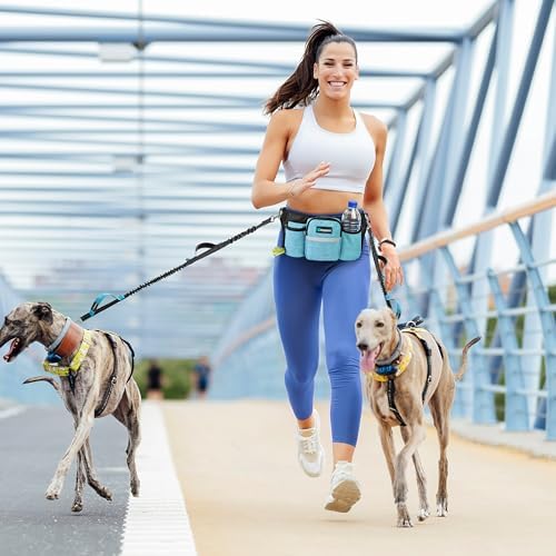 PetAmi Premium Hands Free Dog Leash - Image 6