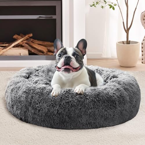 JOLLYVOGUE Calming Small Dog & Cat Bed by JOLLYVOGUE