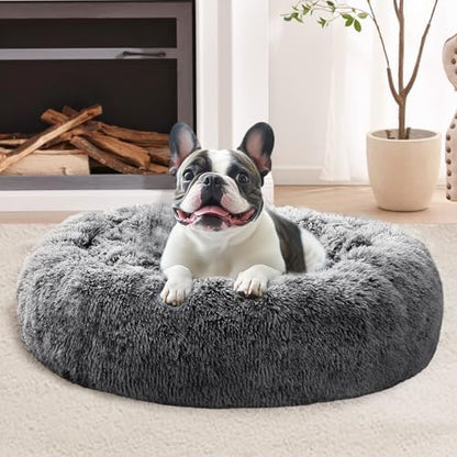 JOLLYVOGUE Calming Dog Bed for Small Dogs by JOLLYVOGUE