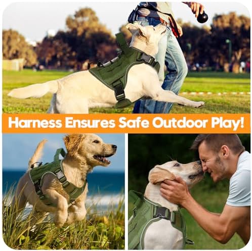 Heavy-Duty Tactical Dog Harness - Image 6