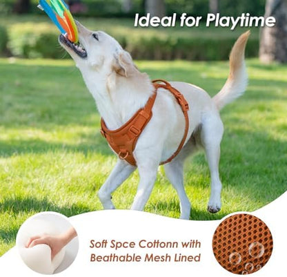 Sunraymascota No Pull Dog Harness - Image 6