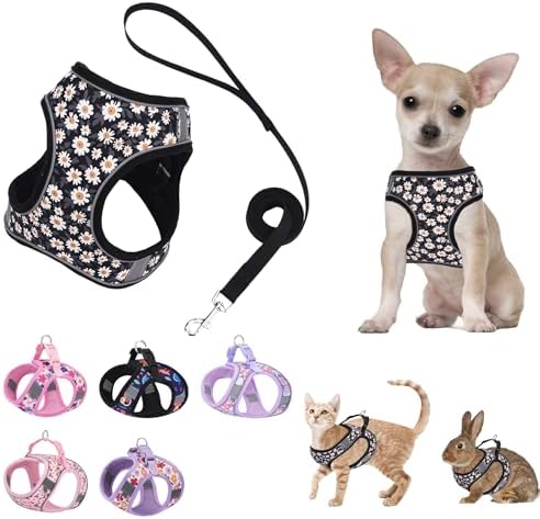 Small Dog Harness Black Daisy Flowers No Pull Reflective Harness by KocaPlye