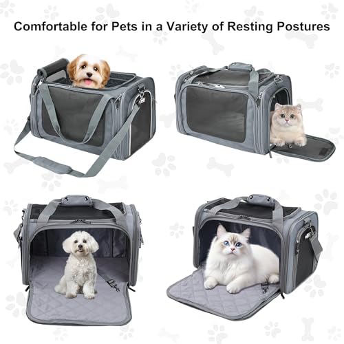 EliteField Deluxe Soft Pet Carrier - Image 2