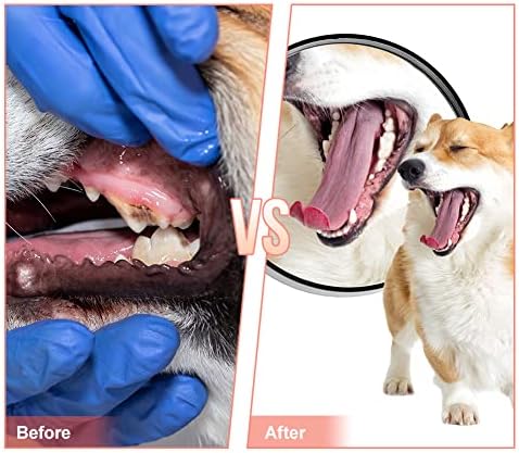 Dog Chew Toys, Durable Rubber Slipper Toy - Image 3
