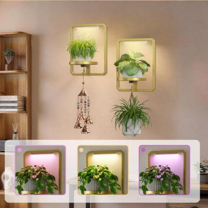 LASZOLA Plant Picture Frame Holder Shelf Wall - Image 4