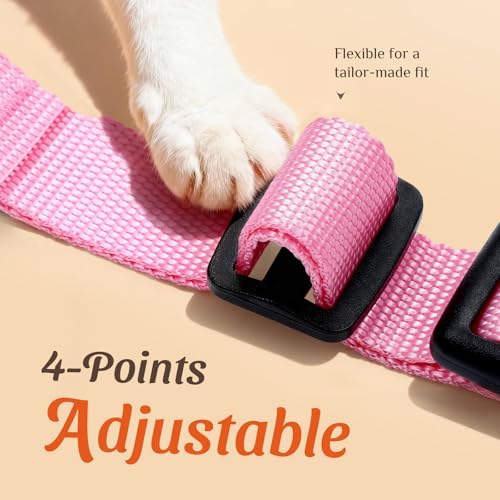 Dooradar Cat Harness and Leash Set, Adjustable and Escape Proof - Image 3