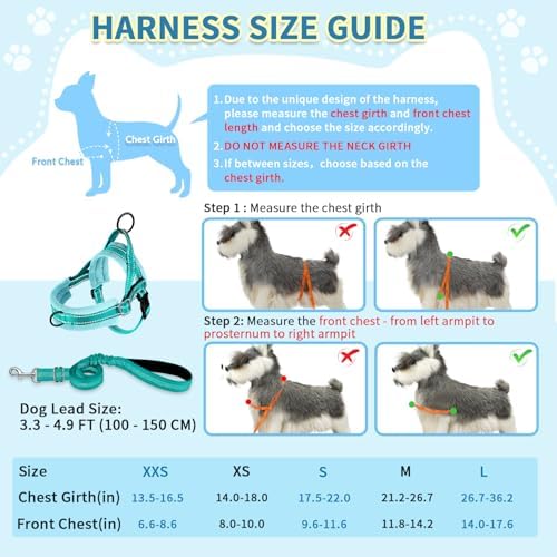 SlowTon No Pull Small Dog Harness and Leash Set - Image 5