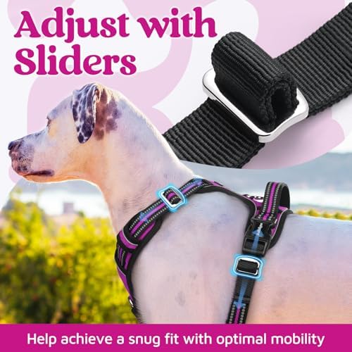 rabbitgoo Dog Harness Medium Sized, No Pull 3 Buckles Easy On & Off - Image 5