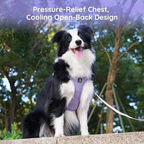 BELLA & PAL Adjustable Step-in Dog Harness, Puppy No-Pull Vest - Image 6