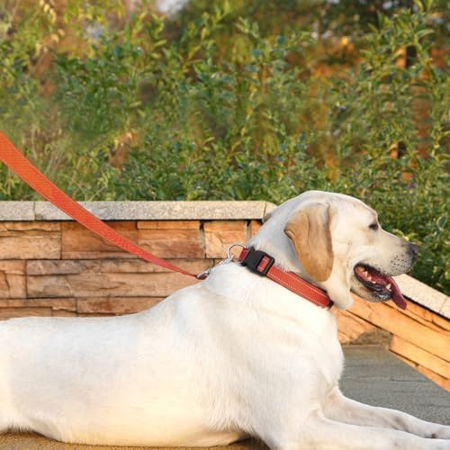 6 FT Basic Dog Leash for Large Dogs - Image 2