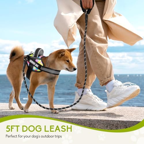 Service Dog Harness and Leash Set, - Image 6