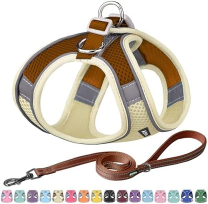 AIITLE Small Dog Harness and Leash Set, Step-in Puppy Pet Vest by AIITLE-FORPETSBETTERLIFE