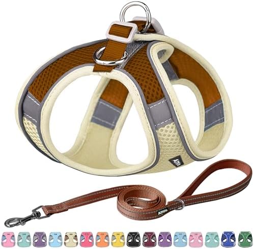 AIITLE Medium Dog Harness and Leash Set, Step-in Puppy Pet Vest by AIITLE-FORPETSBETTERLIFE