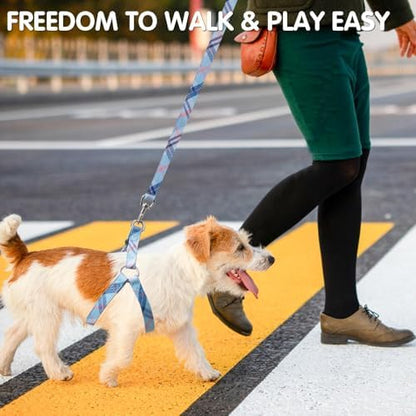 BINGPET No Pull Dog Harness Leash Collar Set, Adjustable Step-in Vest - Image 2