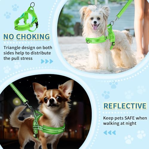 SlowTon No Pull Small Dog Harness and Leash Set - Image 3