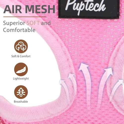 PUPTECK Small Dog Harness and Leash Set No Pull - Image 2