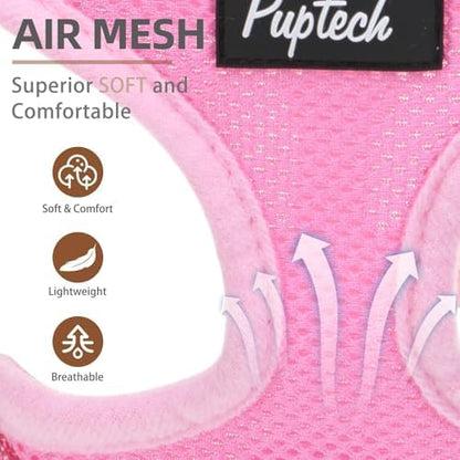 PUPTECK Small Dog Harness and Leash Set No Pull - Image 2
