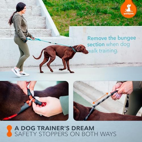 SparklyPets Bungee Rope Handsfree Leash - Image 6