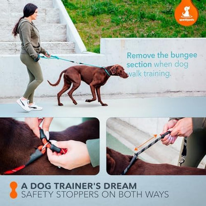 SparklyPets Bungee Rope Handsfree Leash - Image 6