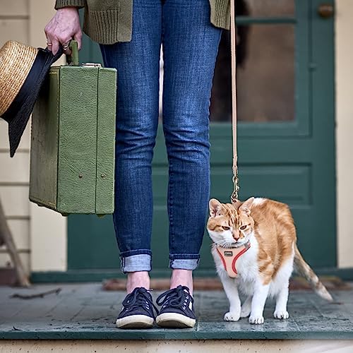Cat Harness and Leash Set, Soft and Breathable Vest - Image 5