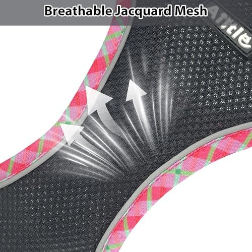 AIITLE Step in Dog Harness & Leash Set - Image 5