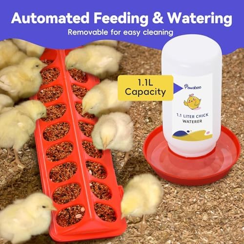 Pawaboo Chick Brooder Box for Chick Starter Kit - Image 3