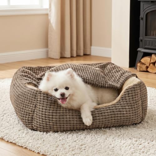 GASUR Dog Beds for Small Dogs by GASUR