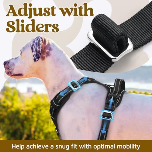 rabbitgoo Dog Harness Medium Sized, No Pull 3 Buckles Easy On & Off - Image 5