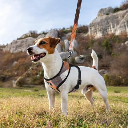 PUPTECK Small Dog Harness and Leash Set No Pull - Image 6