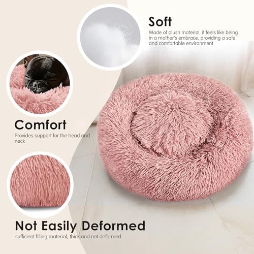 Hoewina Dog & Cat Bed, 20in Cat Beds - Image 4