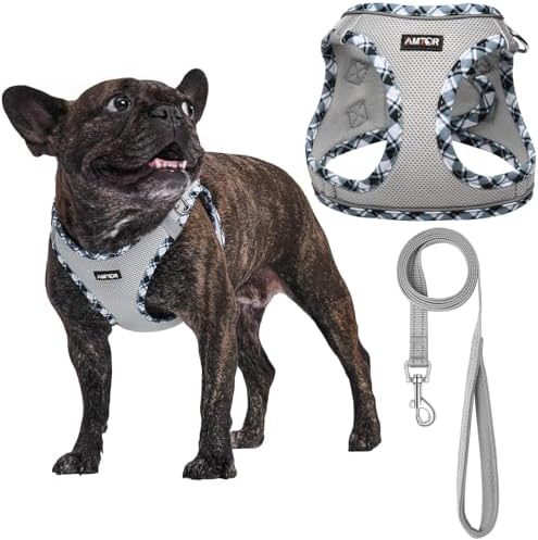 AMTOR Small Dog Harness with Leash Set, No Escape Easy Walk Puppy Harnesses by AMTOR