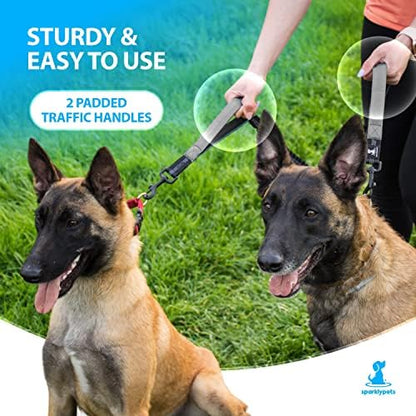 SparklyPets Hands Free Dual Dog Leash, Medium & Large - Image 5