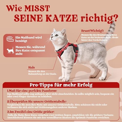 rabbitgoo Cat Harness and Leash Set, Escape Proof Vest - Image 2