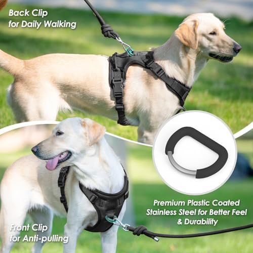 Sunraymascota No Pull Dog Harness - Image 3