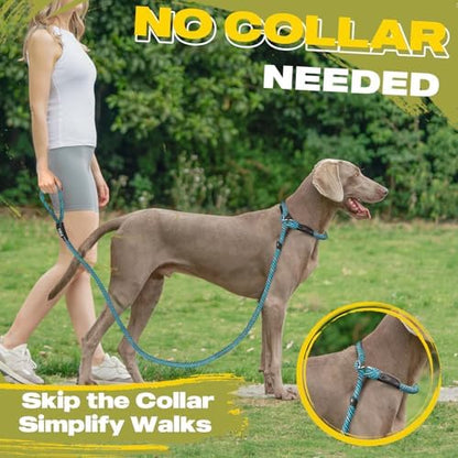 Fida Durable Slip Lead Dog Leash, 6 FT x 1/2" Heavy Duty Loop Comfortable - Image 5
