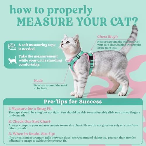 rabbitgoo Cat Harness and Leash Set, Escape Proof Vest - Image 2