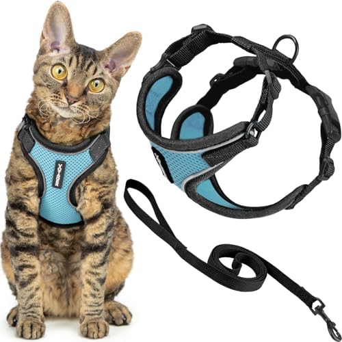 Voyager Escape-Proof Step-in Harness & Leash by BestPetSuppliesLLC