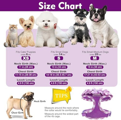 EXPAWLORER Step-in Dog Harness Small Sized and Leash Set - Image 4