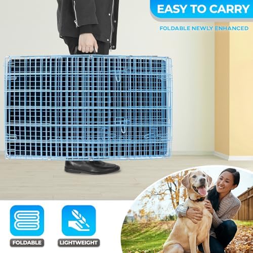 FDW | 42" Foldable Metal Dog Crate | Blue | Cage - Image 5