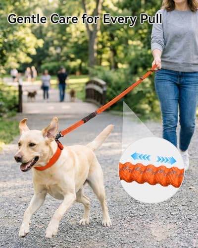 Joytale Tactical Bungee Dog Leash, Shock Absorbing No Pull - Image 3