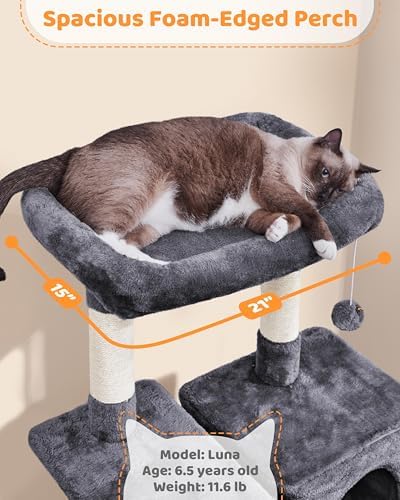 Yaheetech 63in Sturdy Large Cat Tree - Image 5
