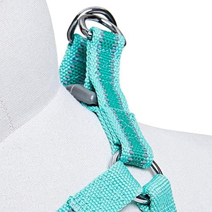 Blueberry Pet Essentials Step-in Reflective Back to Basics Dog Harness - Image 4