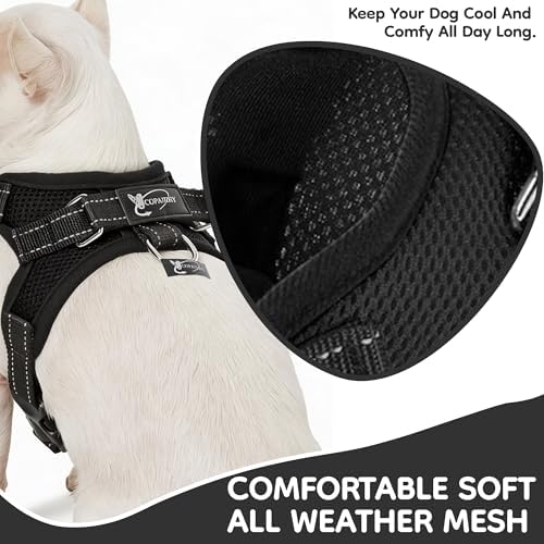 Dog Harness Small Sized Dogs - Image 3