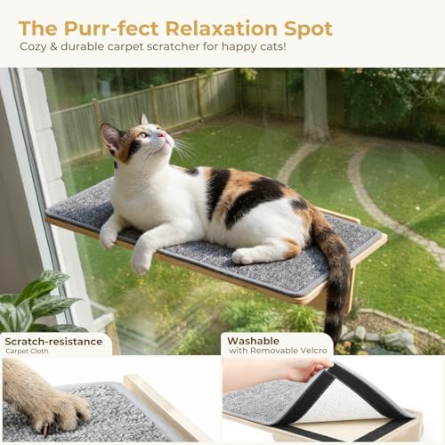 Pecute 2-in-1 Large Cat Window Perch & Wall Shelves, Solid Wood - Image 6