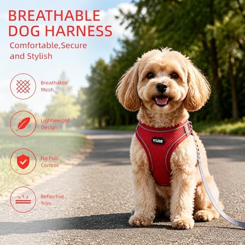 ROYPET Step-in Air Dog Harness, All Weather Mesh Step in Vest Harness - Image 3
